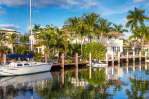 docks boats palm trees and houses