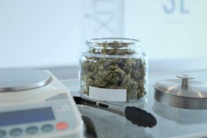 medical marijuana in jar with scale